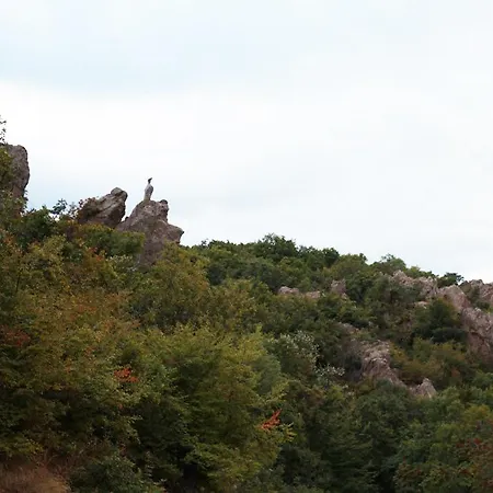 белисима, Bellissima Penzion
