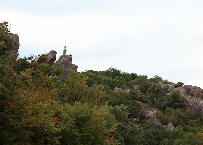 белисима, Bellissima Πανσιόν